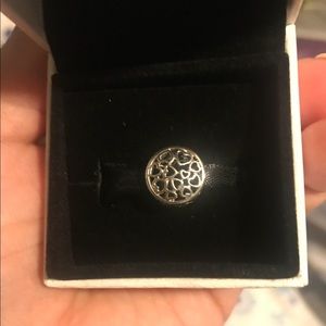 Pandora charm
